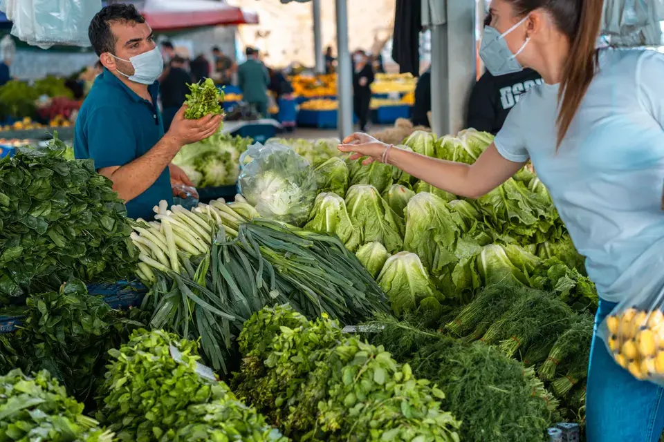 Exploring Miami Shores: Where We Serve in Miami Shores